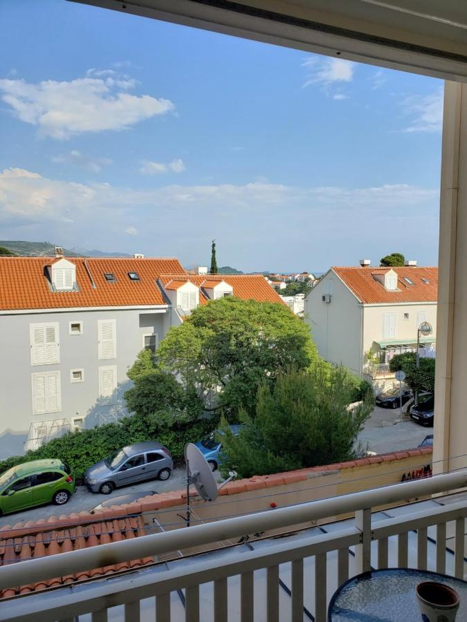 Pine Tree Apartment Dubrovnik Dış mekan fotoğraf